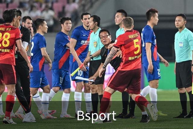 Bsport公司简介